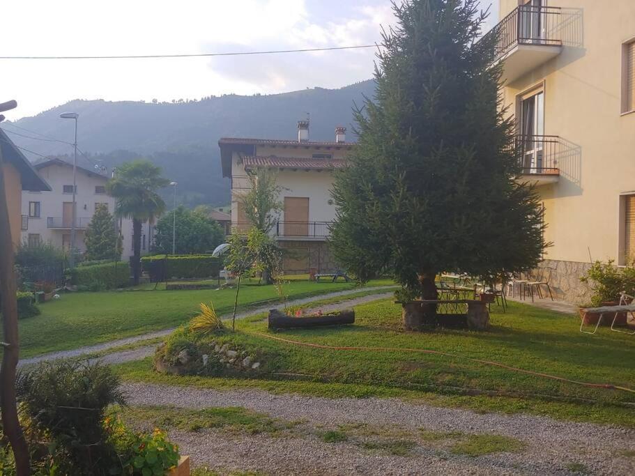Haus Of Bellini * Fino Del Monte